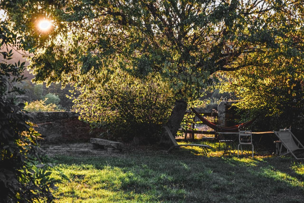 Tiny House Morvan Bourgogne Nature - 2H De Paris Bussieres  Εξωτερικό φωτογραφία